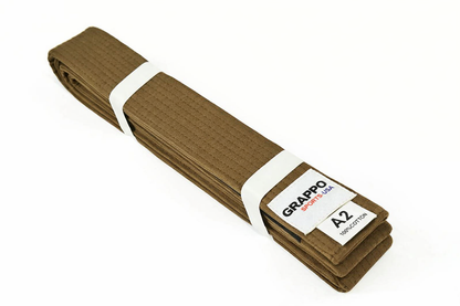 Brown Belt Jiu Jitsu