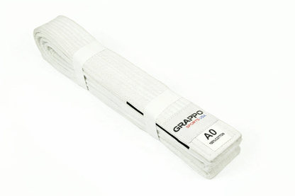 White Belt Jiu Jitsu