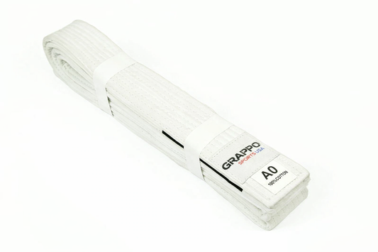 White Belt Jiu Jitsu
