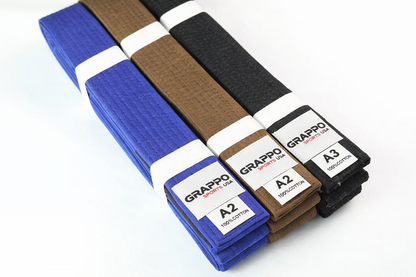 White Belt Jiu Jitsu